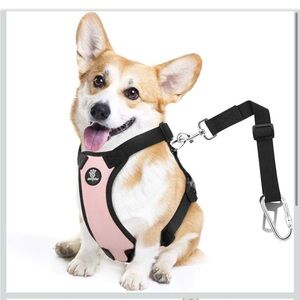 New Dog Seatbelt Harness